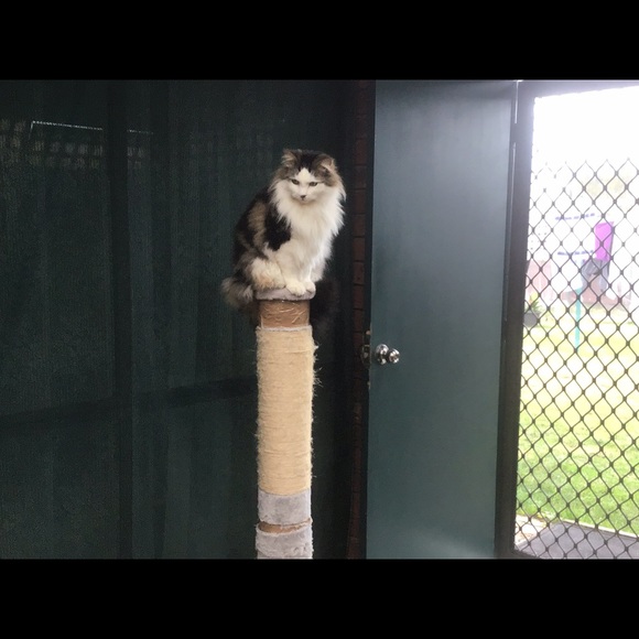 Meet your Posher, Inge - Picture 1 of 1